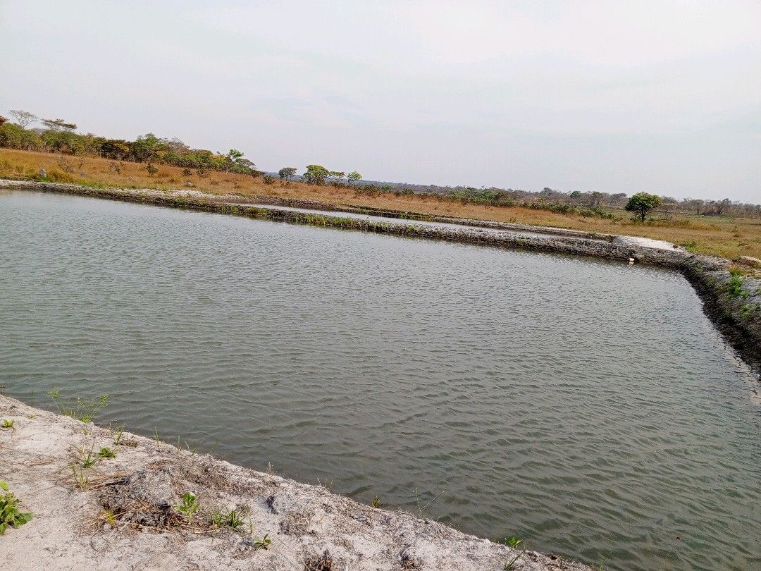Fish Pond Making