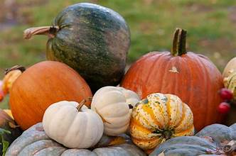 Pumpkin